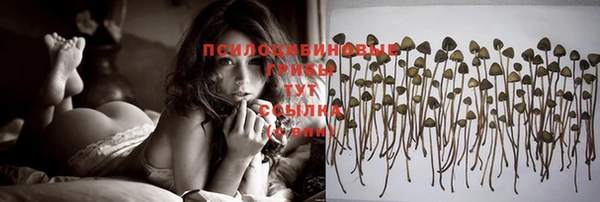 2c-b Верхнеуральск