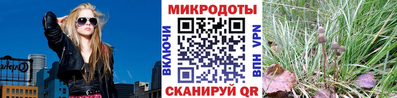 Купить где  Кодинск  Галлюциногенные грибы Psilocybe 